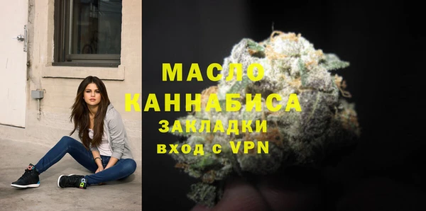 молекула духа Карпинск