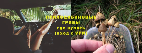молекула духа Карпинск