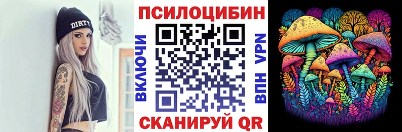 Купить закладки  Инсар  Галлюциногенные грибы GOLDEN TEACHER 