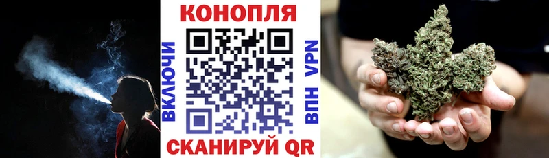 Купить где  Инсар  Конопля тримм 
